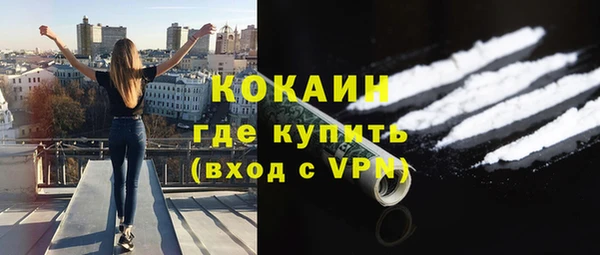 прущие грибы Баксан