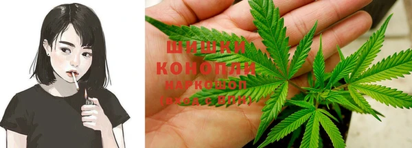 прущие грибы Баксан