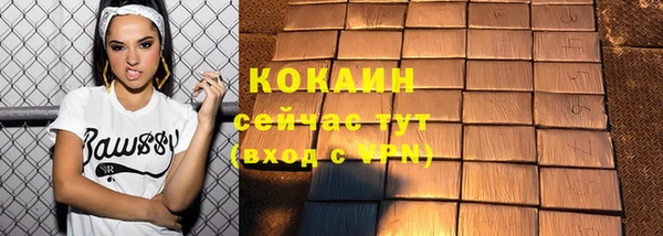 прущие грибы Баксан