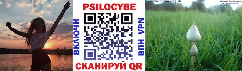 Псилоцибиновые грибы MAGIC MUSHROOMS  площадка формула  Шиханы 